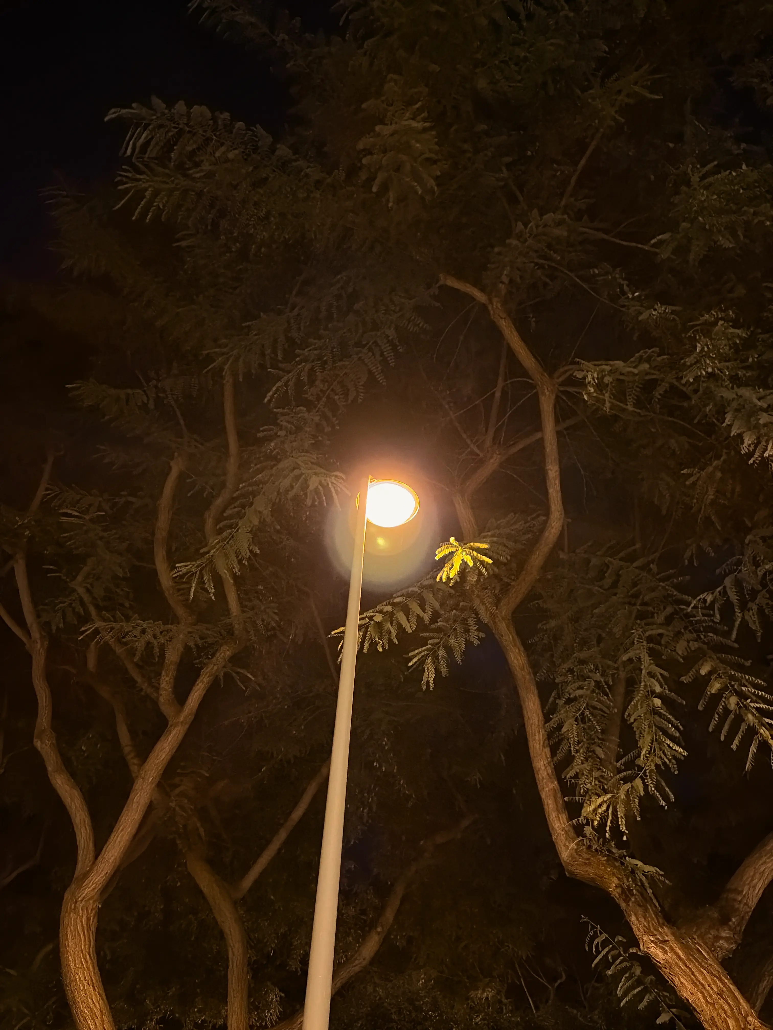 Foto ambiental por la noche
